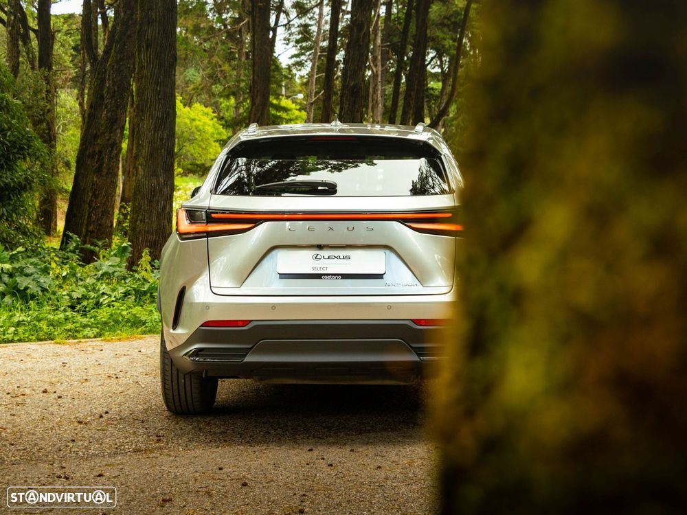 Lexus NX 350h Executive+ - 26