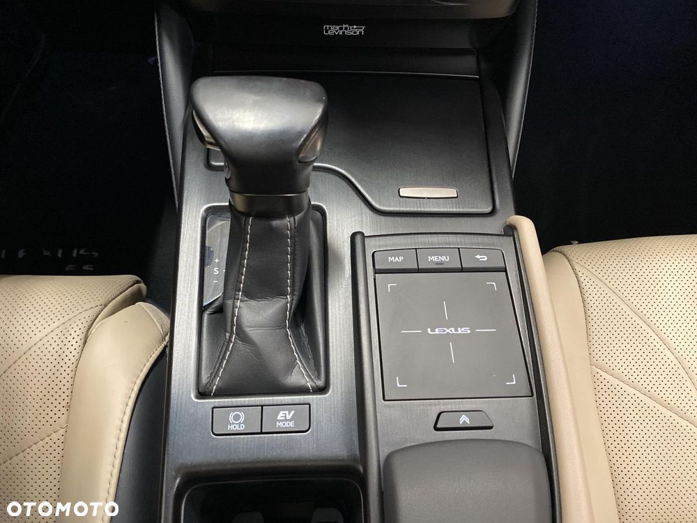 Lexus ES 300h Omotenashi - 19