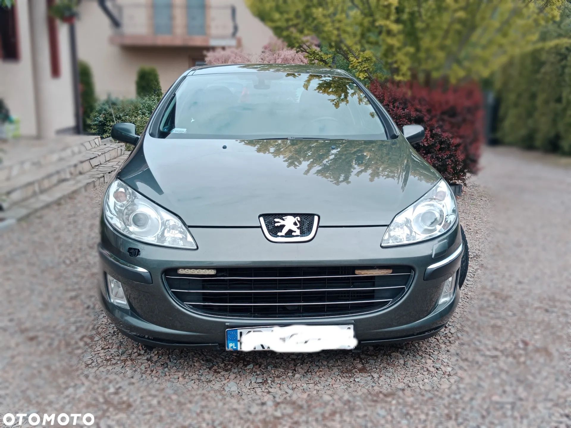 Peugeot 407 2.0 HDI Platinum - 1