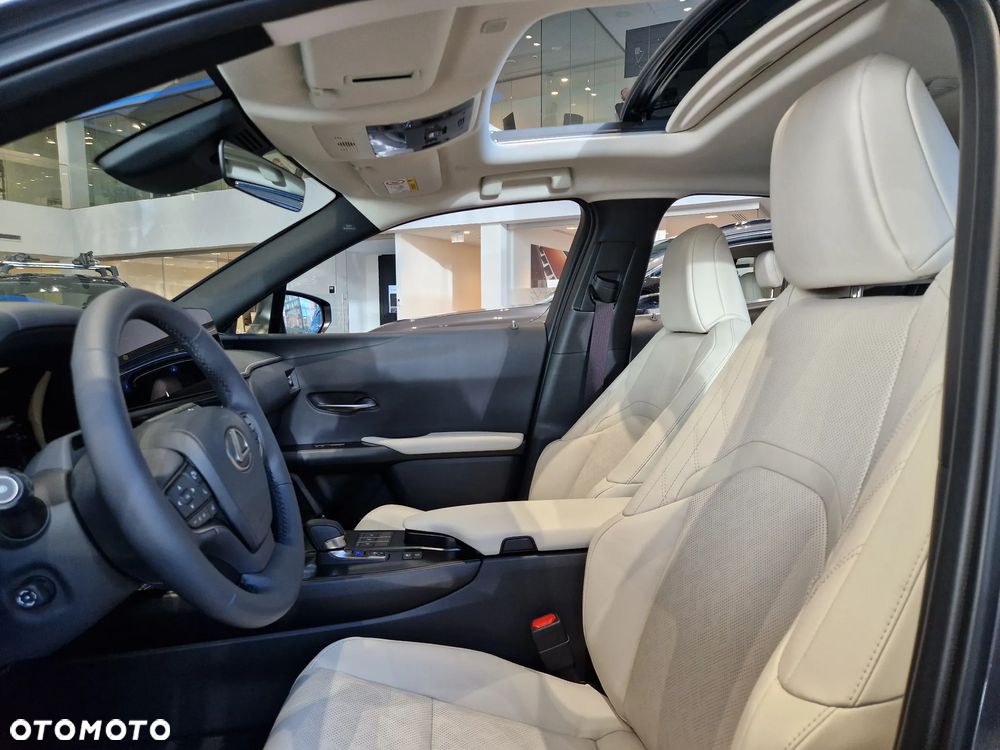 Lexus UX 300h Prestige - 10