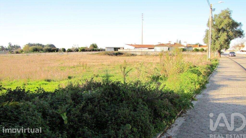 Terreno para construção em Oliveirinha de 9007,00 m2 - Grande imagem: 5/18