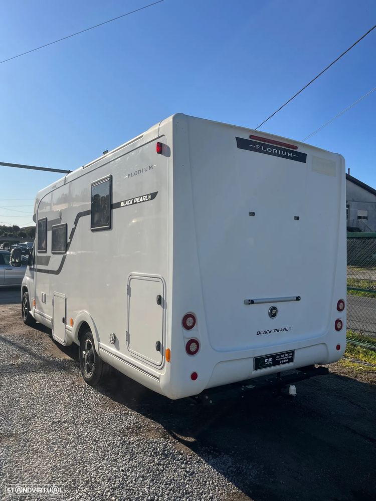 Florium Mayflower Black Pearl 70 - 5