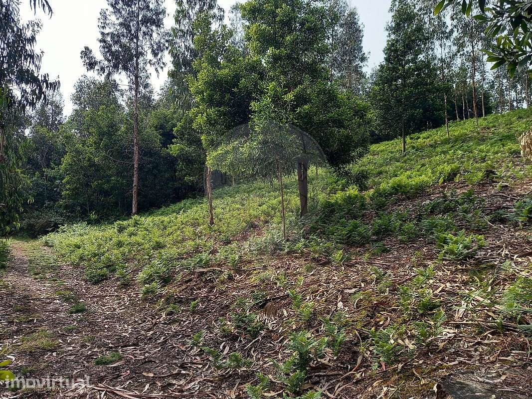 Terreno  para venda - Grande imagem: 3/9