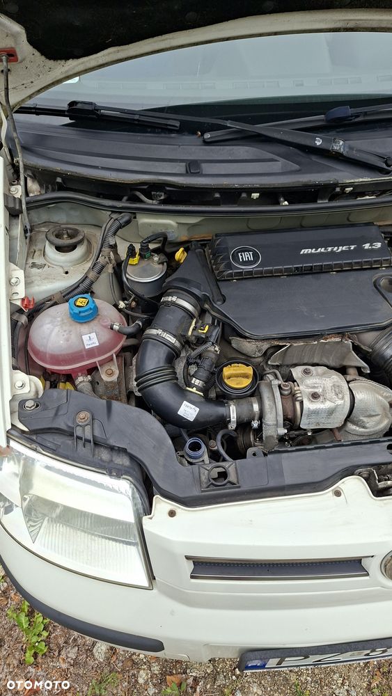 Fiat Panda - 4