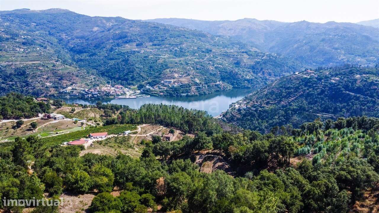 Quintinha T2 / Baião, Santa Cruz do Douro e São Tomé de Covelas - Grande imagem: 5/6