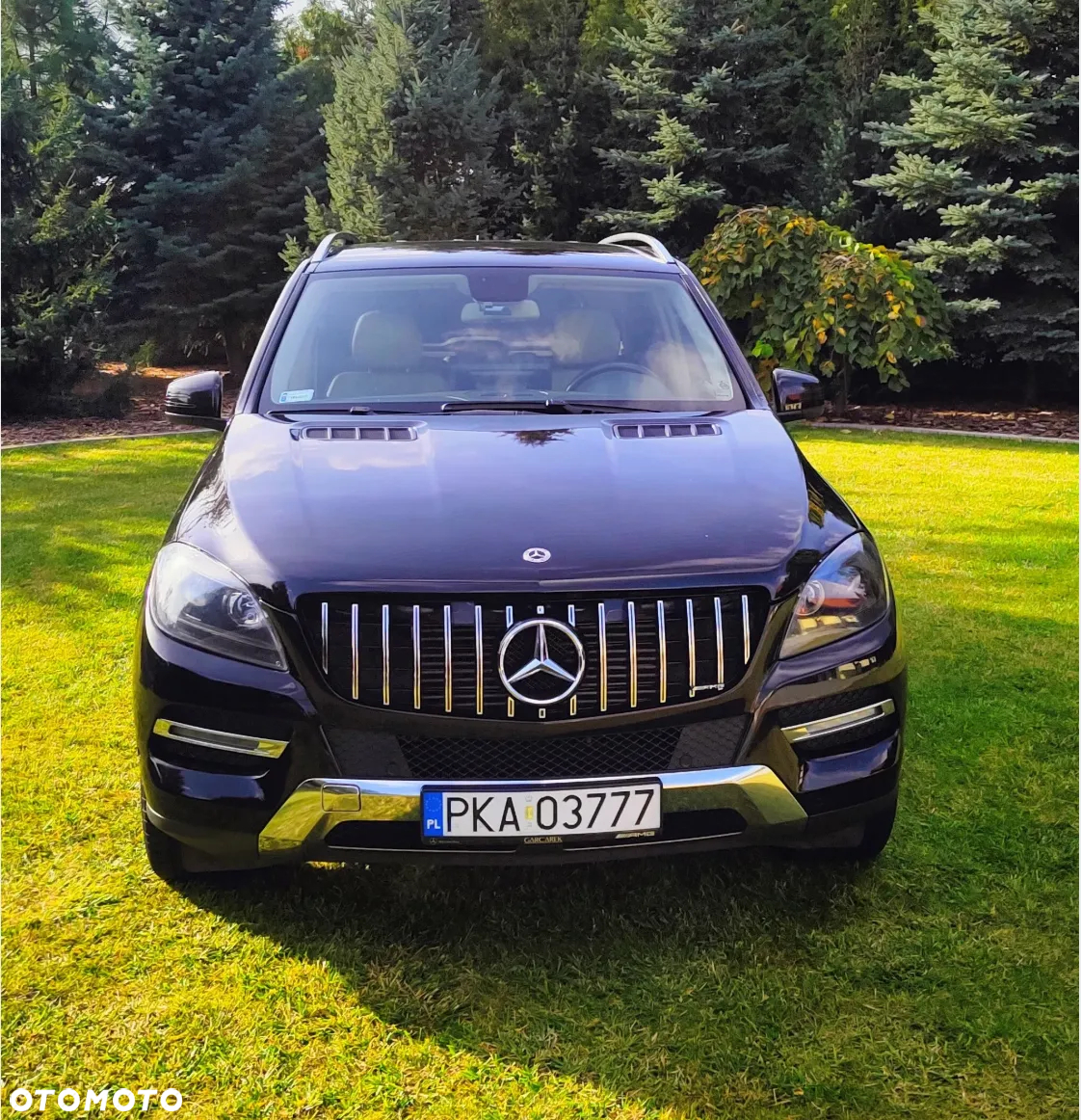Mercedes-Benz ML 250 BlueTec 4-Matic - 6