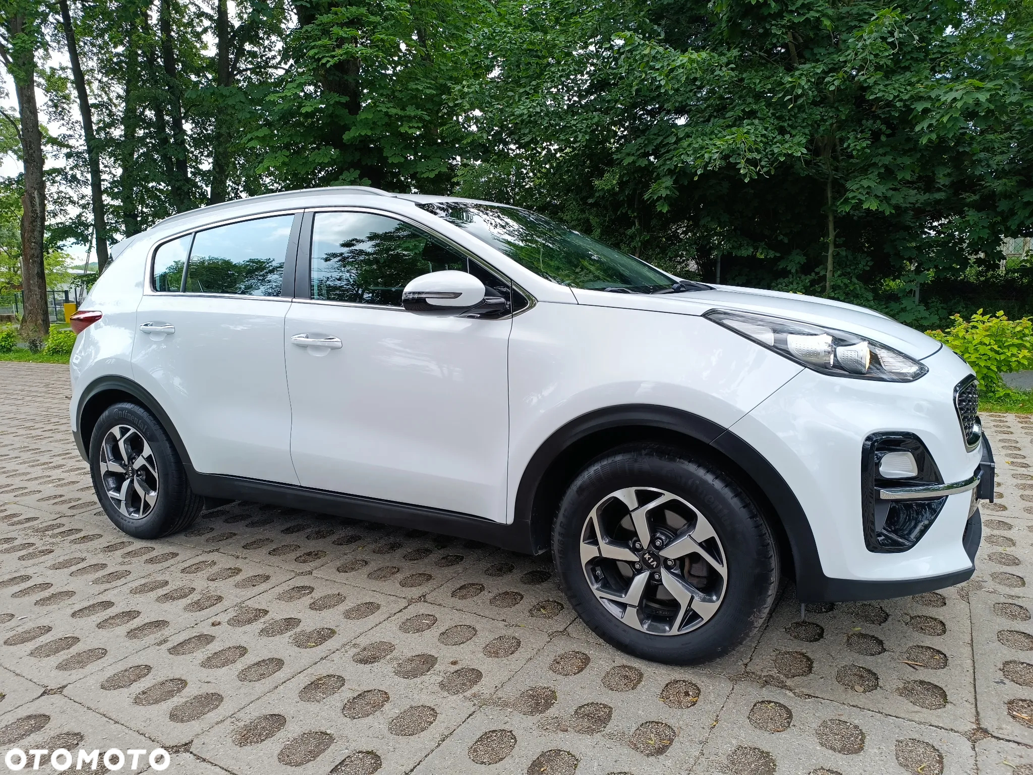 Kia Sportage 1.6 CRDI Black Edition Plus 2WD - 11