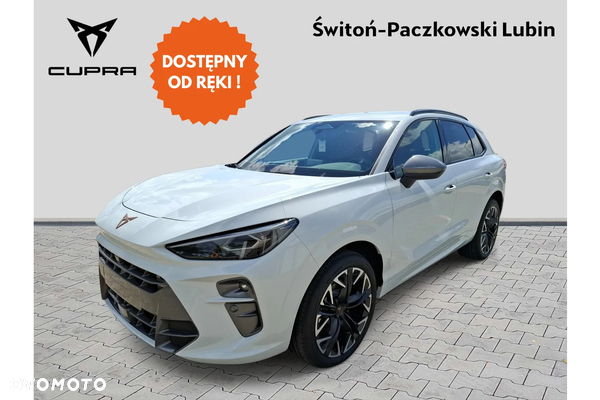Cupra Terramar 2.0 TSI 4Drive DSG