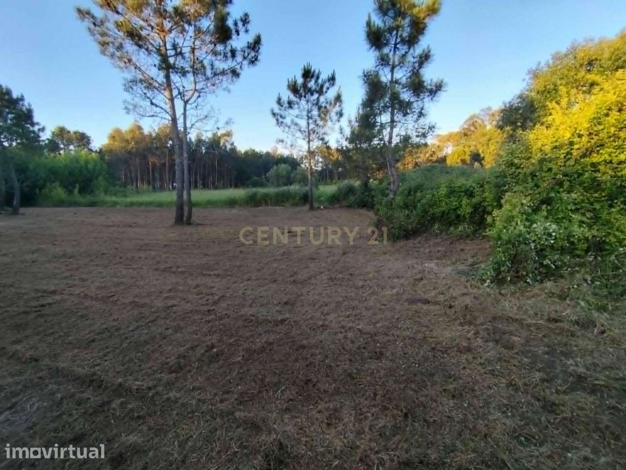 Terreno Rústico com 1.360 m² em Vale Sobreiro — Pataias e Martingança - Grande imagem: 3/3