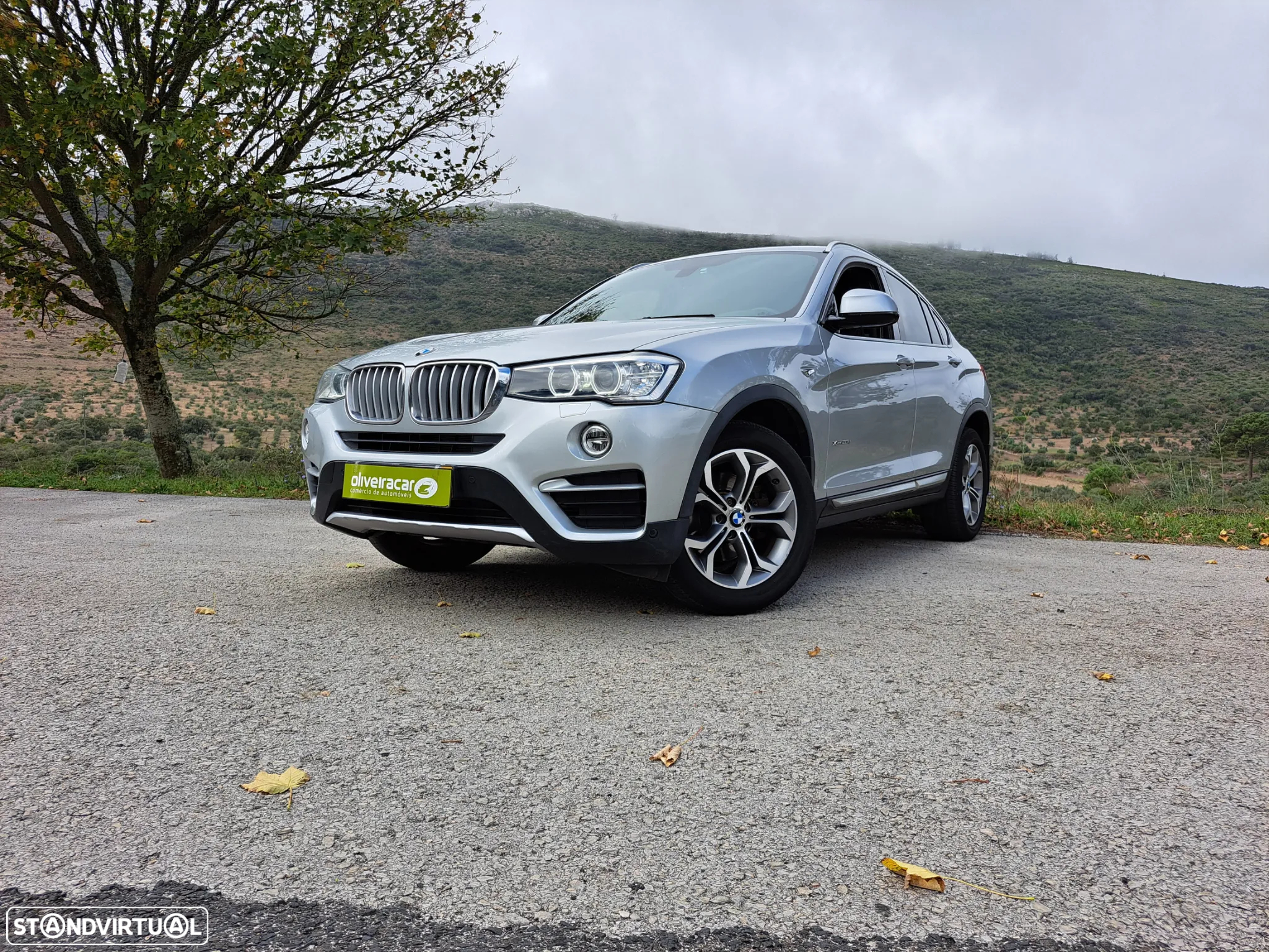 BMW X4 20 d xDrive XLine Auto - 11