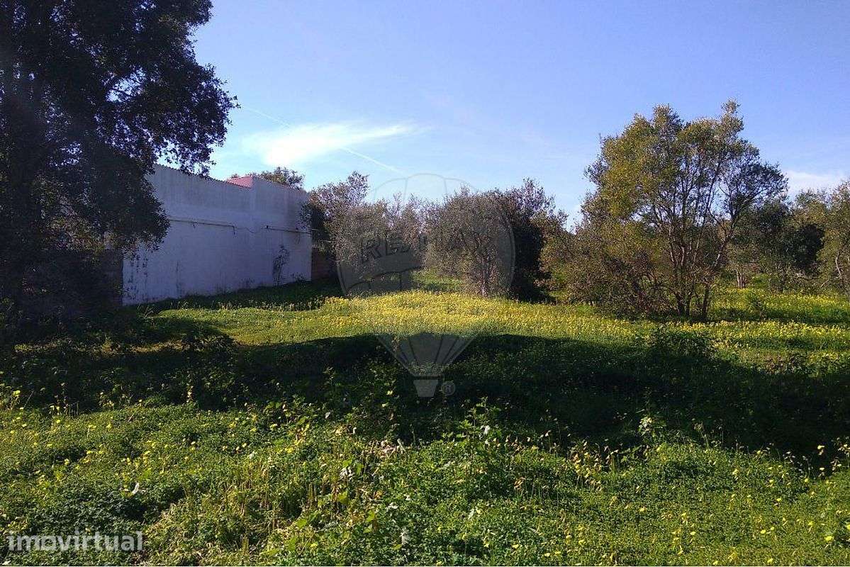 Terreno T0 para venda - Grande imagem: 3/5