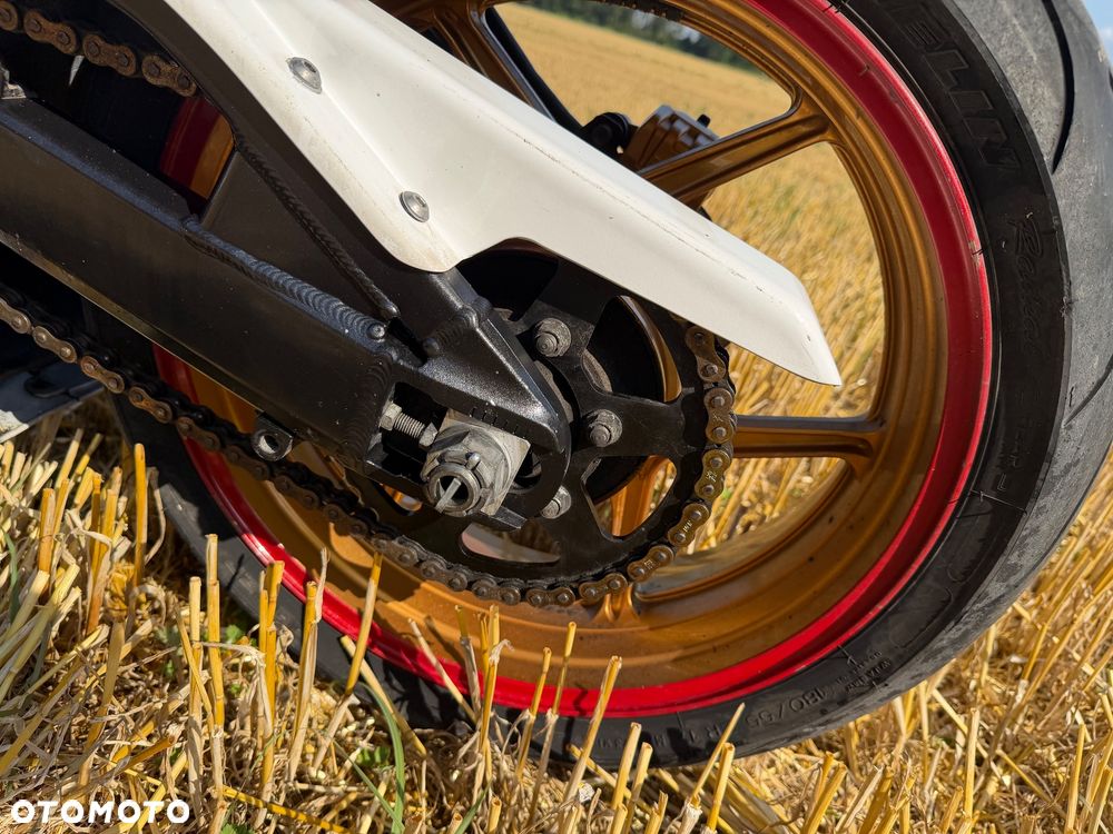 Kawasaki ZXR - 25