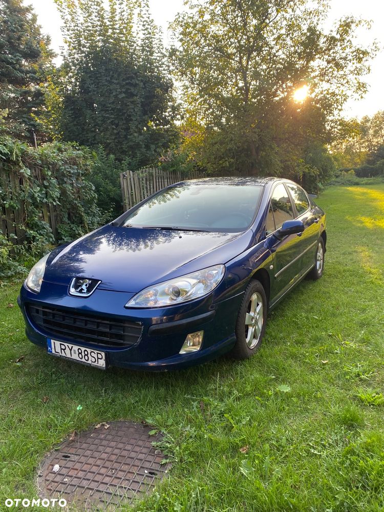 Peugeot 407 - 1