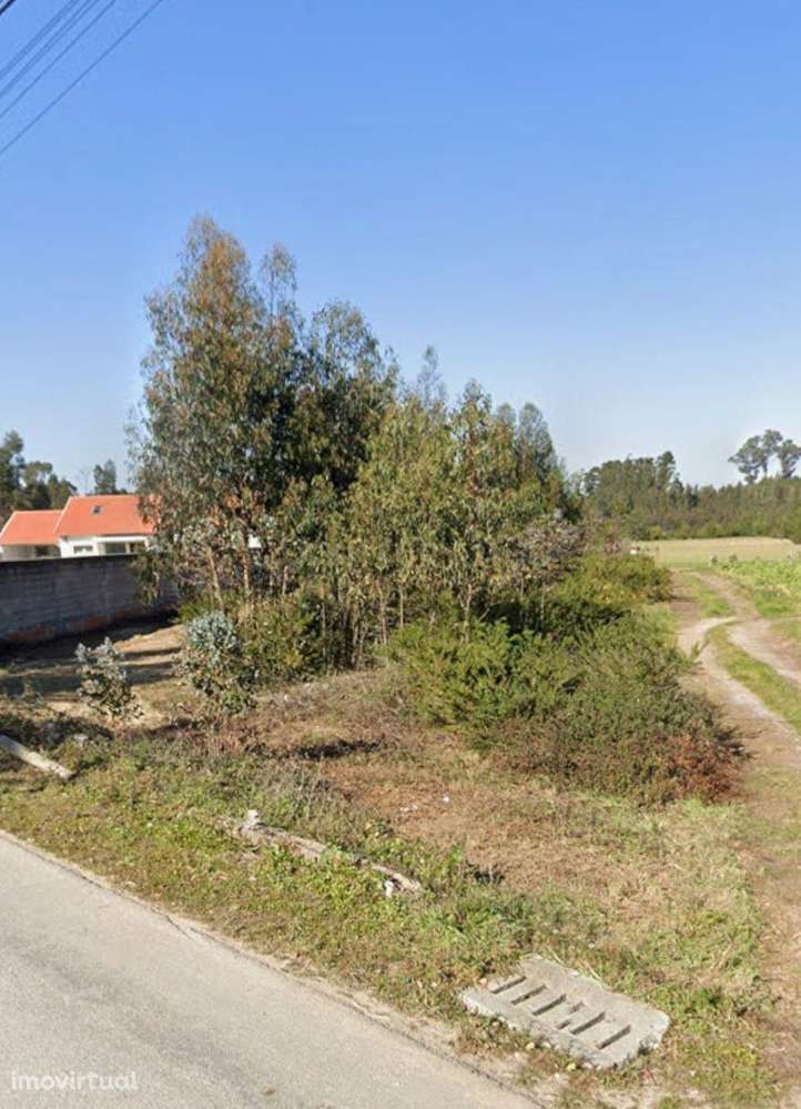 Terreno Rústico Novo em Vagos, Aveiro - Grande imagem: 2/5