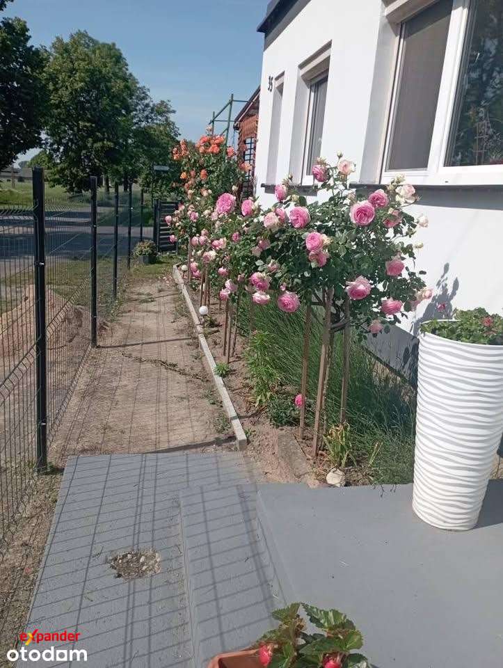 Gotowy do zamieszkania dom z fotowoltaiką i ogrodem | Szydłowo - Pełny obrazek: 3/9