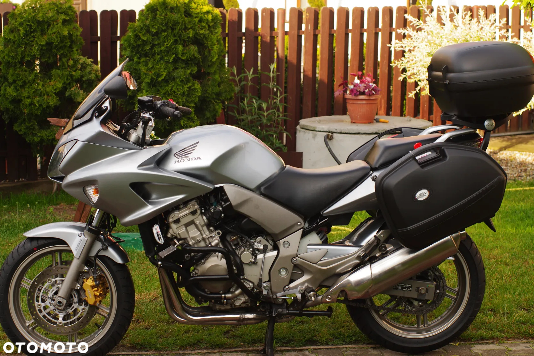 Honda CBF - 25