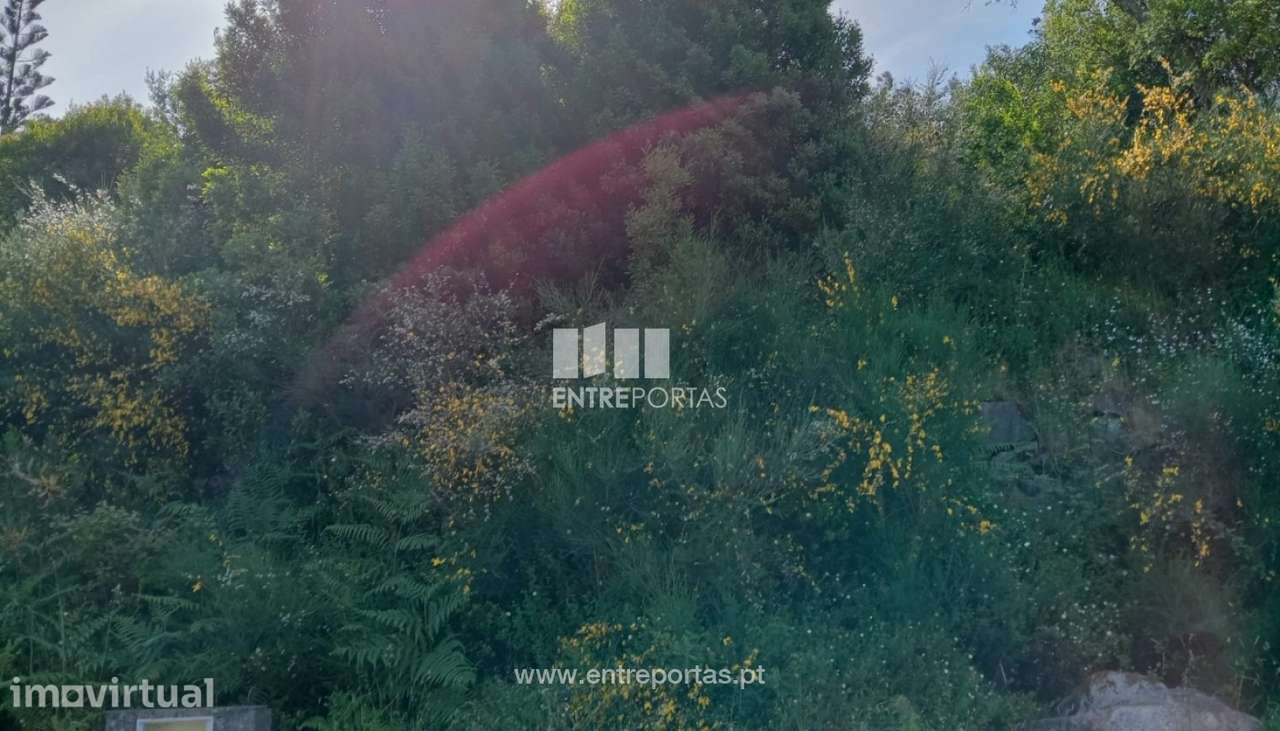 Lote de terreno para venda, Âncora, Caminha - Grande imagem: 5/25