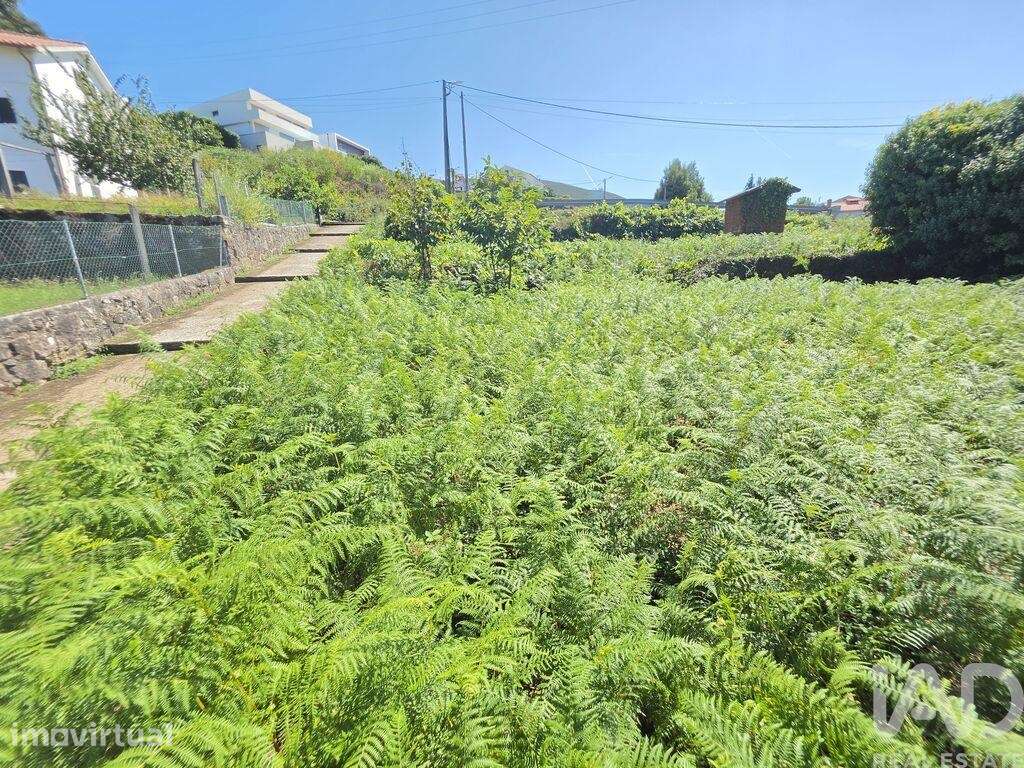 Terreno para construção em Loivo - Grande imagem: 5/11