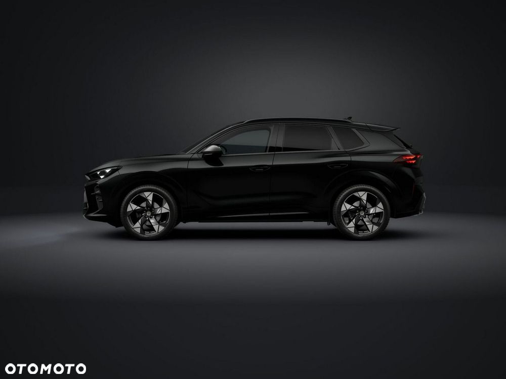Cupra Terramar - 3
