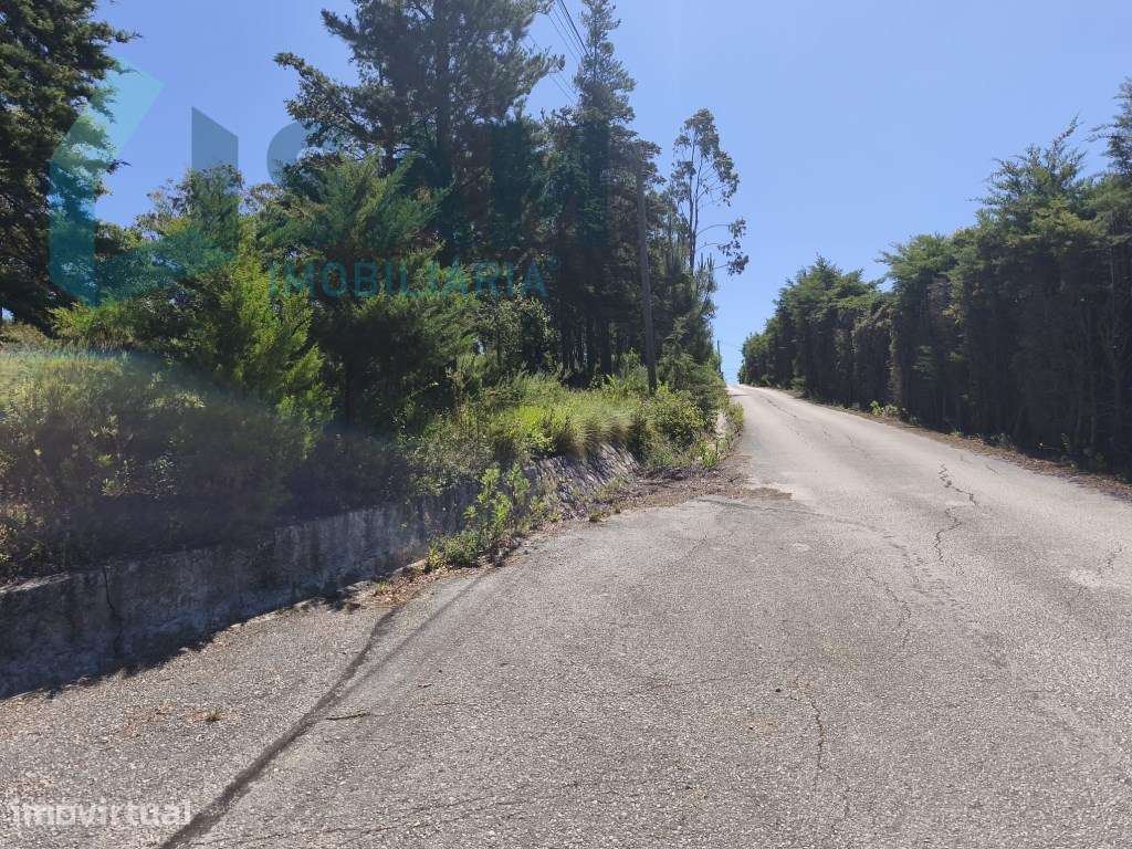 Terreno com PIP Aprovado para Construção de 5 Moradias - Cadaval - Grande imagem: 5/14