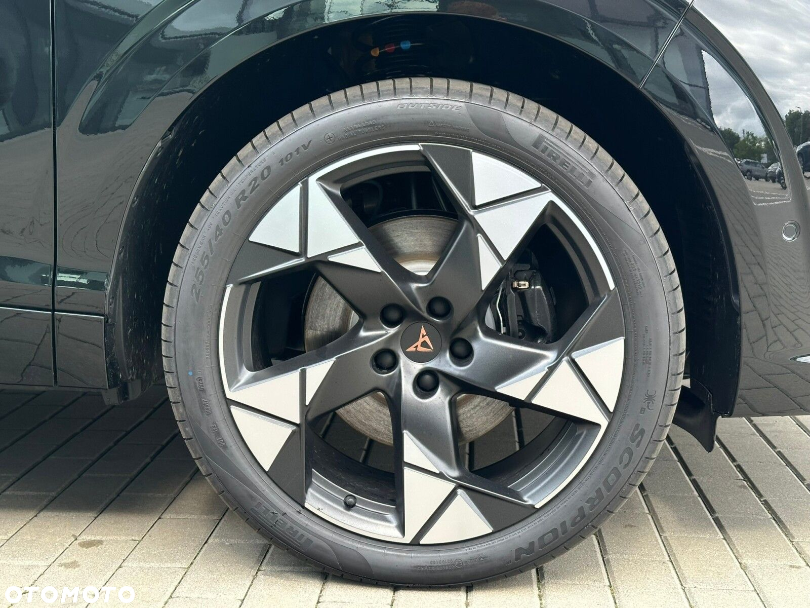 Cupra Terramar - 9