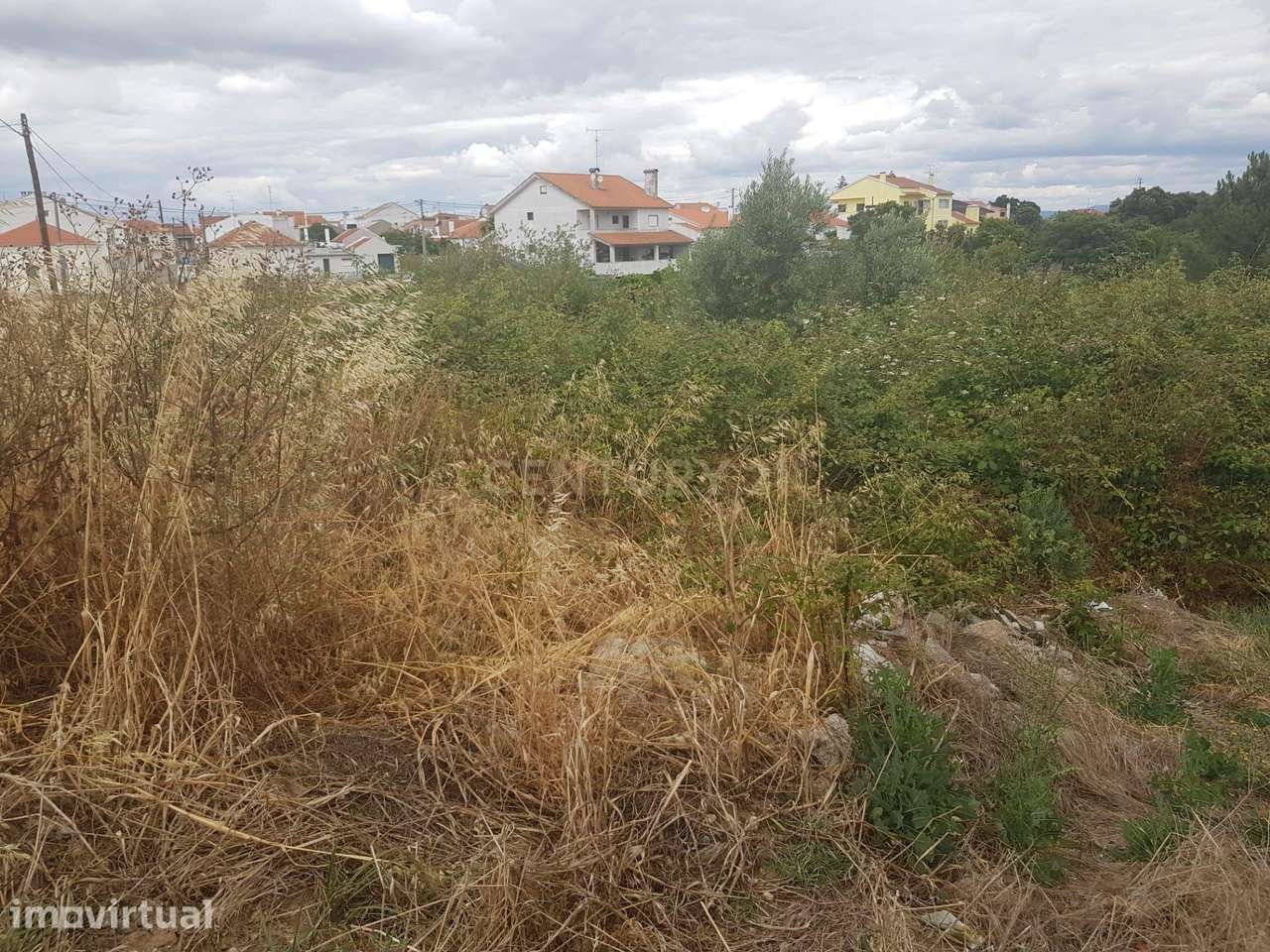 Terreno urbanizável em União das Freguesias de São Miguel do Rio Torto - Grande imagem: 4/6