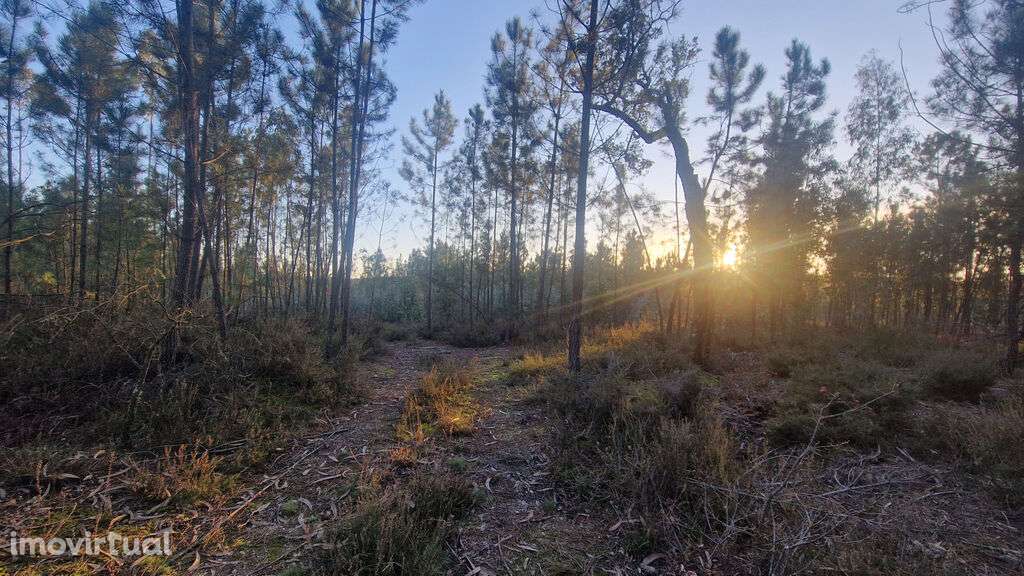Venda Terreno - Grande imagem: 3/4