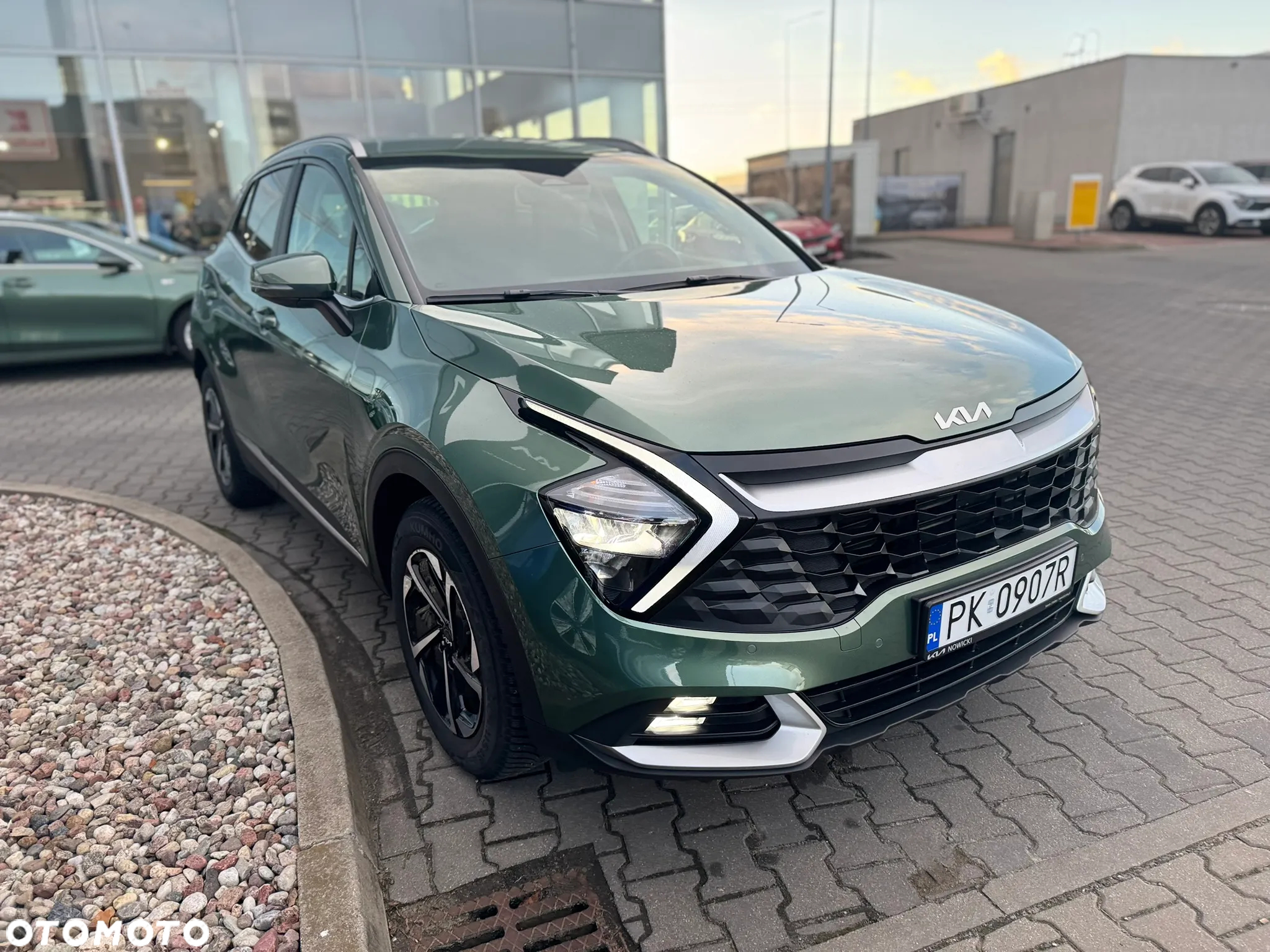 Kia Sportage 1.6 T-GDI MHEV L 2WD DCT - 7