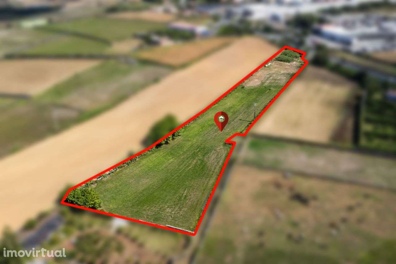 Terreno Rústico RIbeira Grande - Grande imagem: 4/4