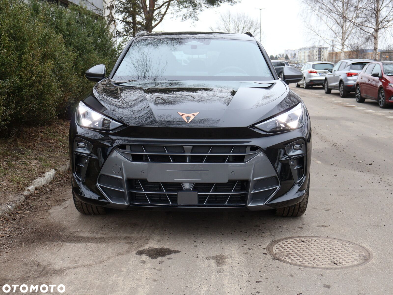 Cupra Terramar 1.5 eTSI mHEV DSG - 19