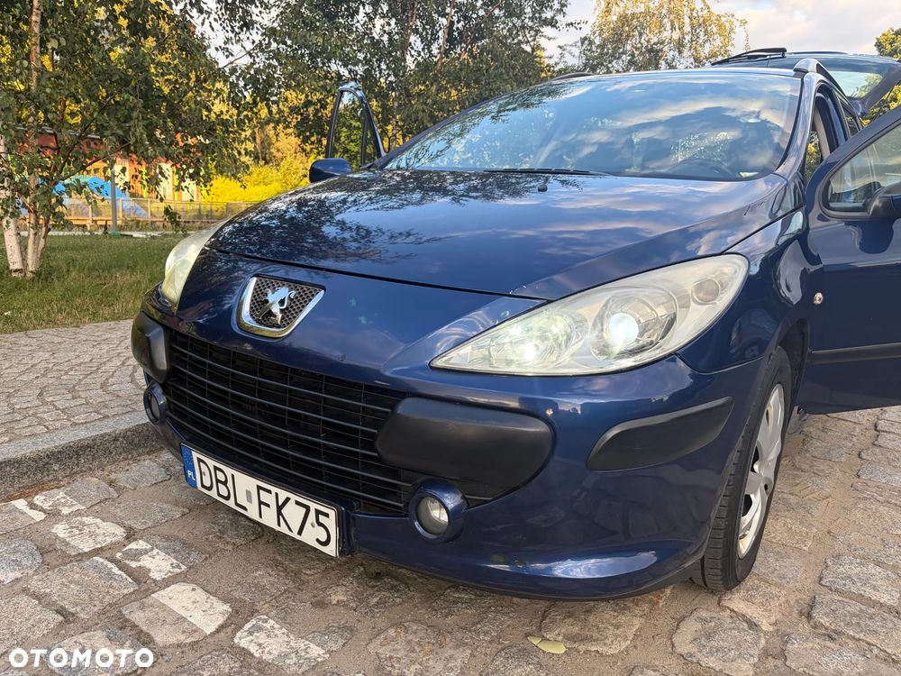 Peugeot 307 - 17