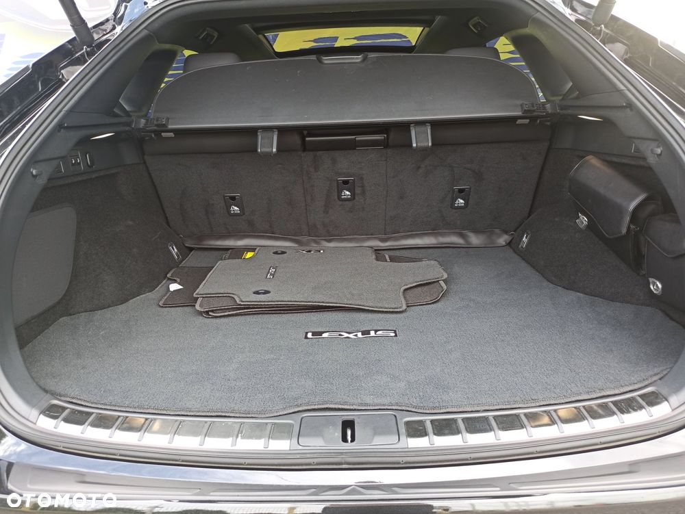 Lexus RX - 10