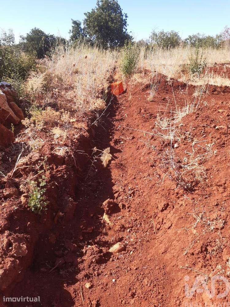 Terreno Agrícola em Alte - Grande imagem: 5/8