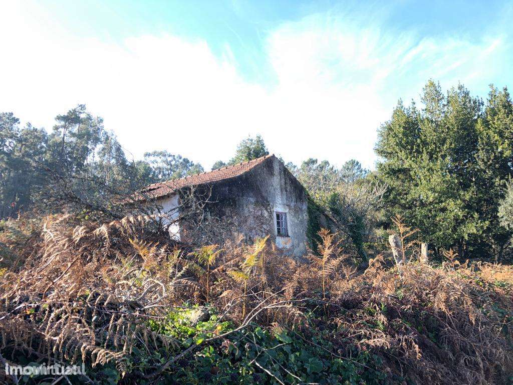 Terreno com ruína - Grande imagem: 4/10