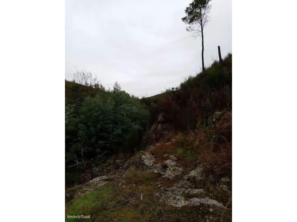 . Terreno Rústico com 29.080 m² junto à Ribeira Mação - Grande imagem: 5/15