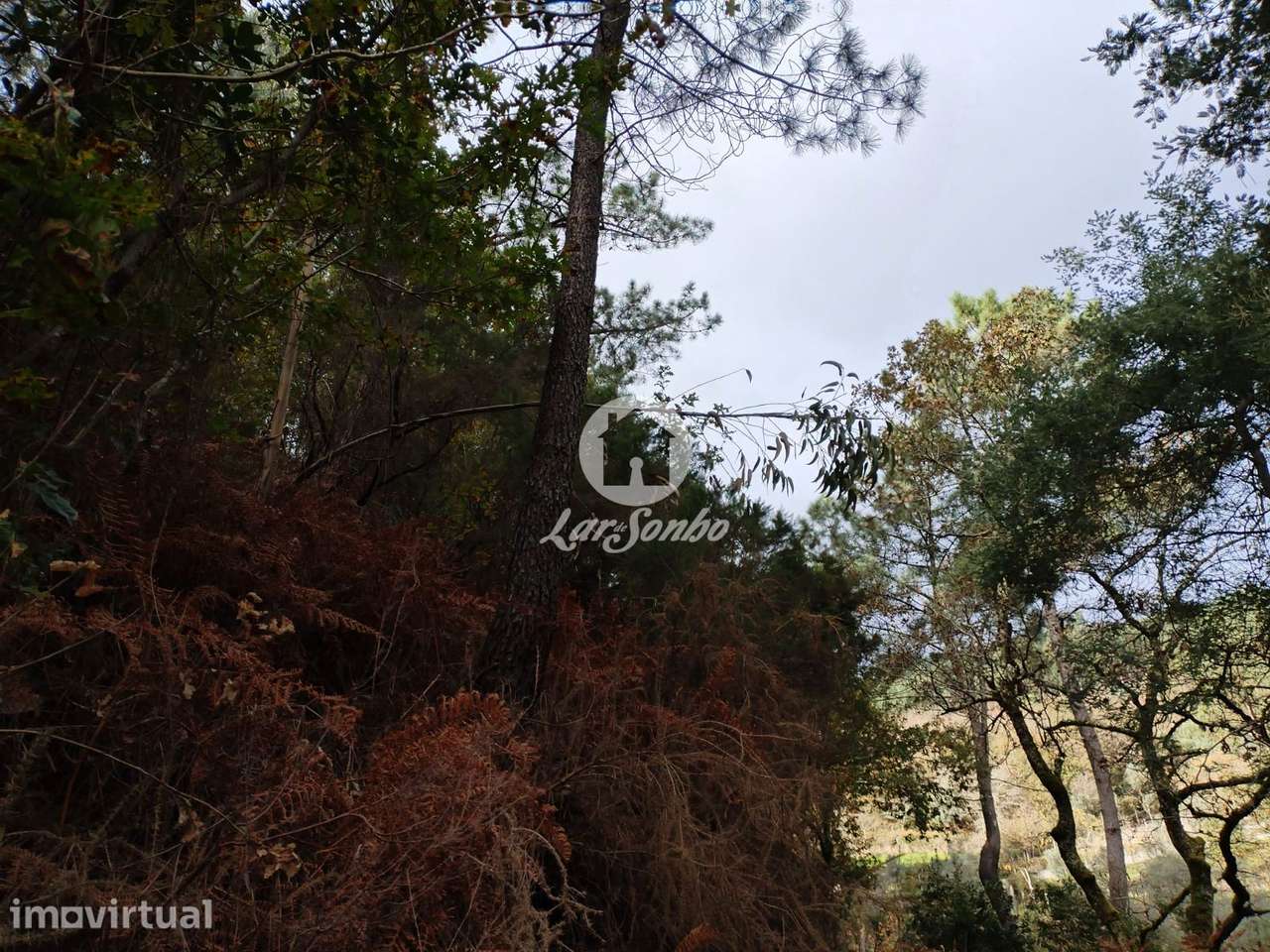 Terreno de 3600m² para Plantação ou Cultivo no Parque Natural do Gerês - Grande imagem: 3/4