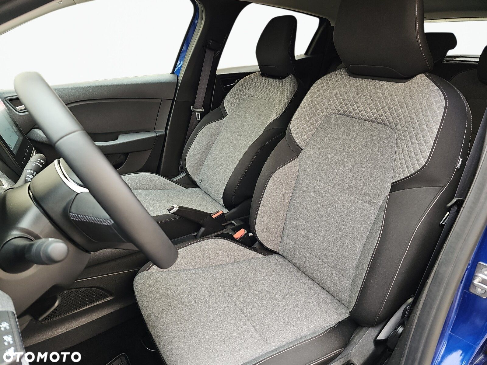 Renault Clio - 13