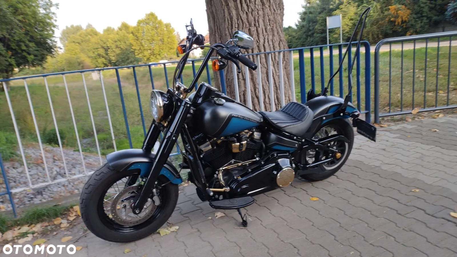 Harley-Davidson Softail Slim - 12