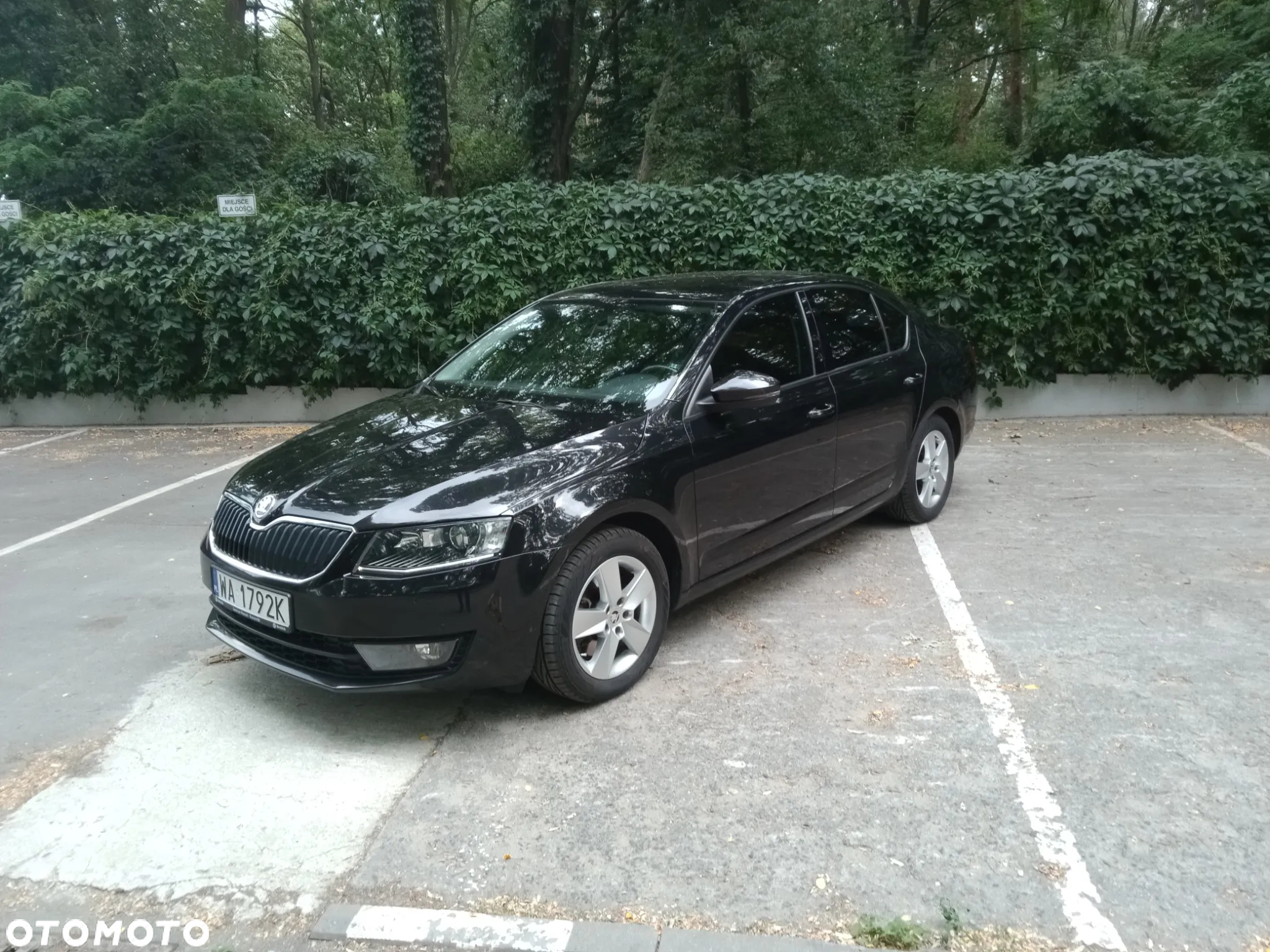 Skoda Octavia 1.8 TSI Ambition EU6 - 2