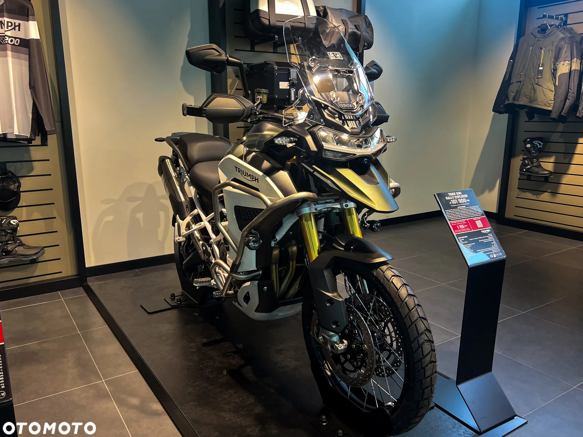 Triumph Tiger - 3