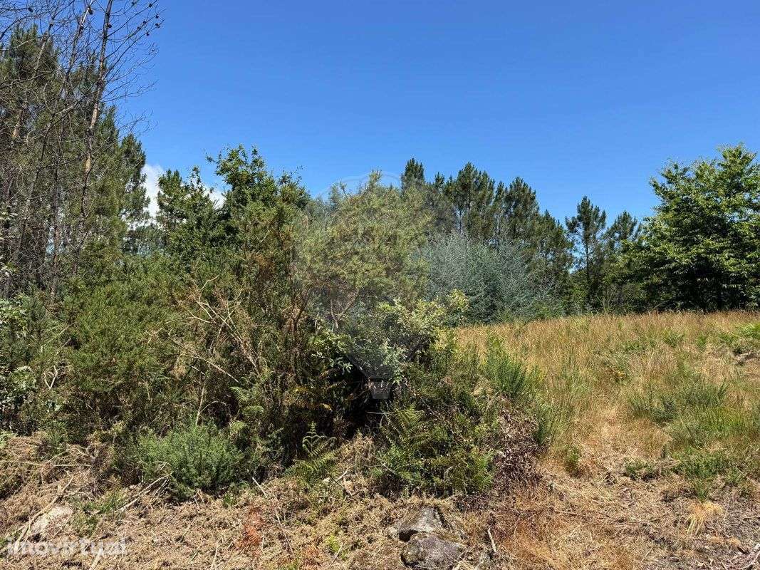 Terreno  para venda - Grande imagem: 3/5