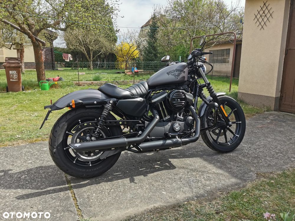 Harley-Davidson Sportster Iron 883 - 7