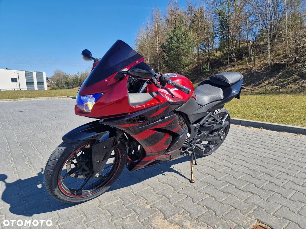 Kawasaki Ninja 250R - 3