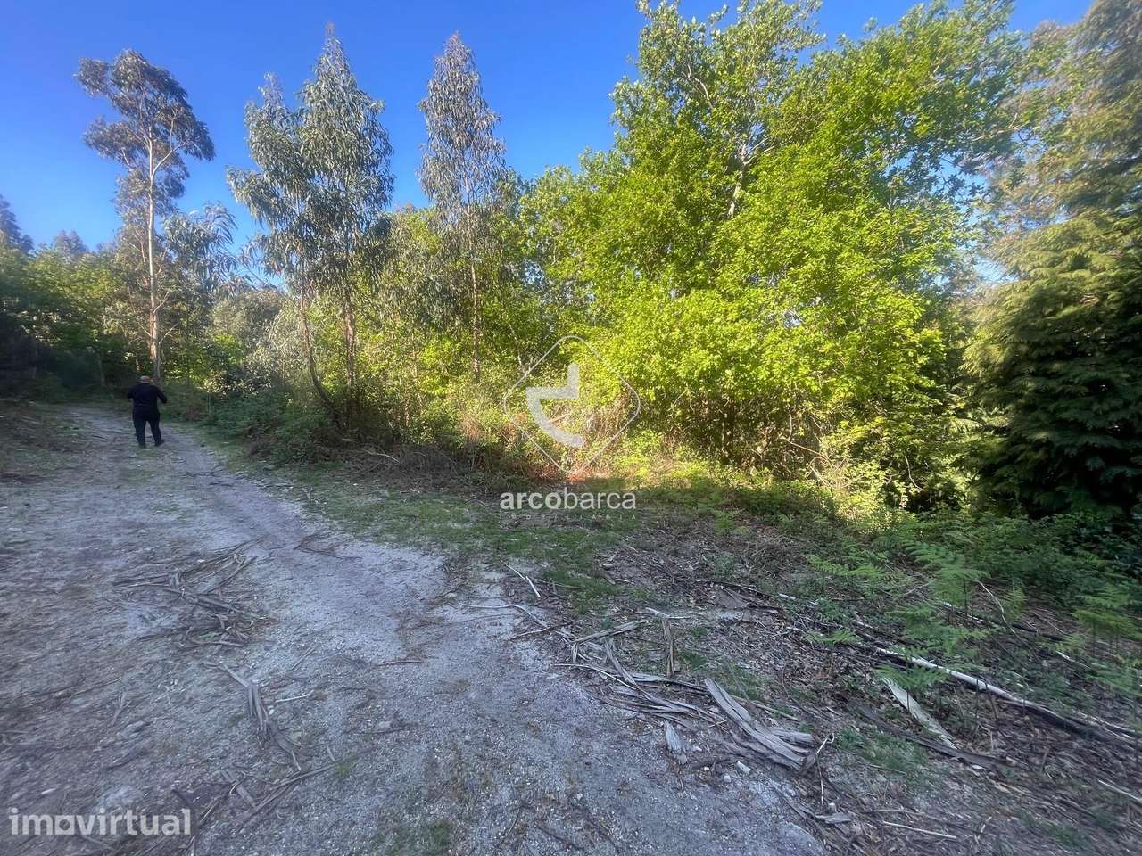 Terreno florestal - Cabreiro - Sistelo - Grande imagem: 2/12