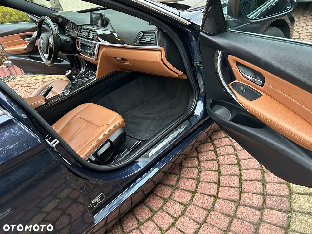 BMW Seria 3 318d Blue Performance Luxury Line - 20