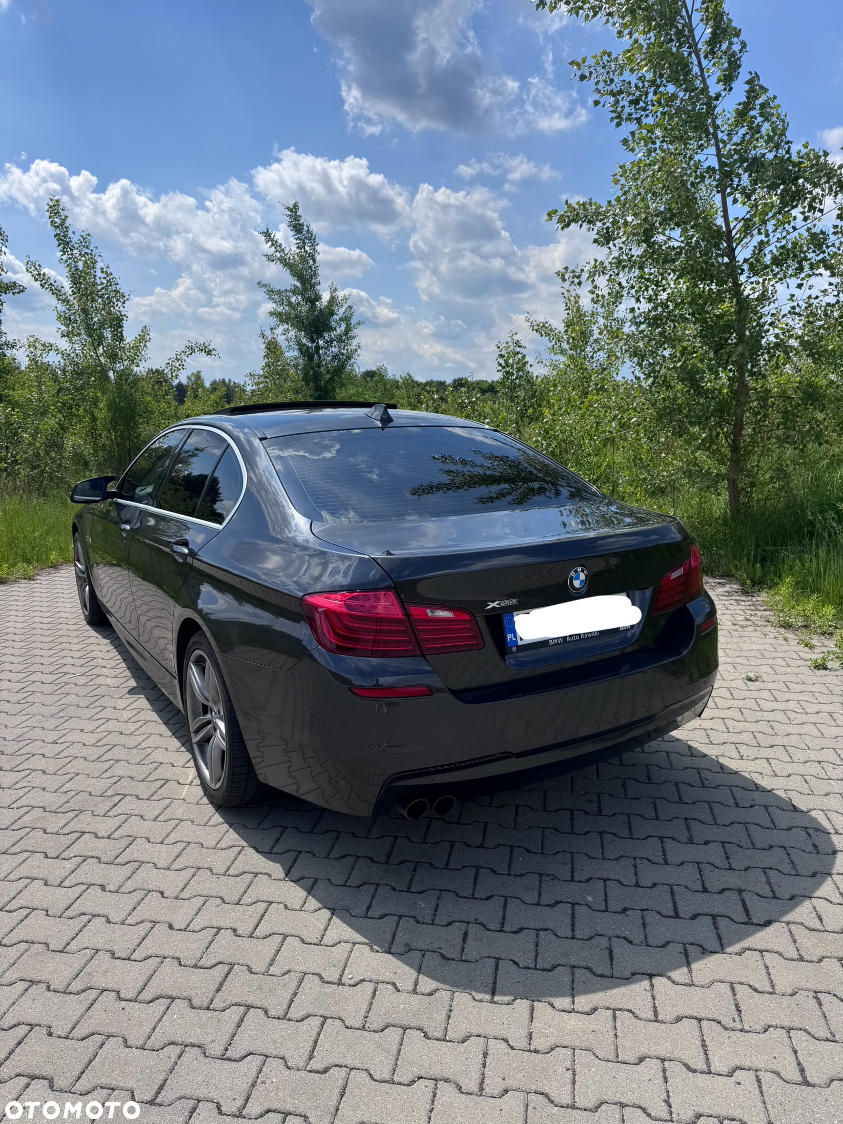 BMW Seria 5 520d xDrive - 14