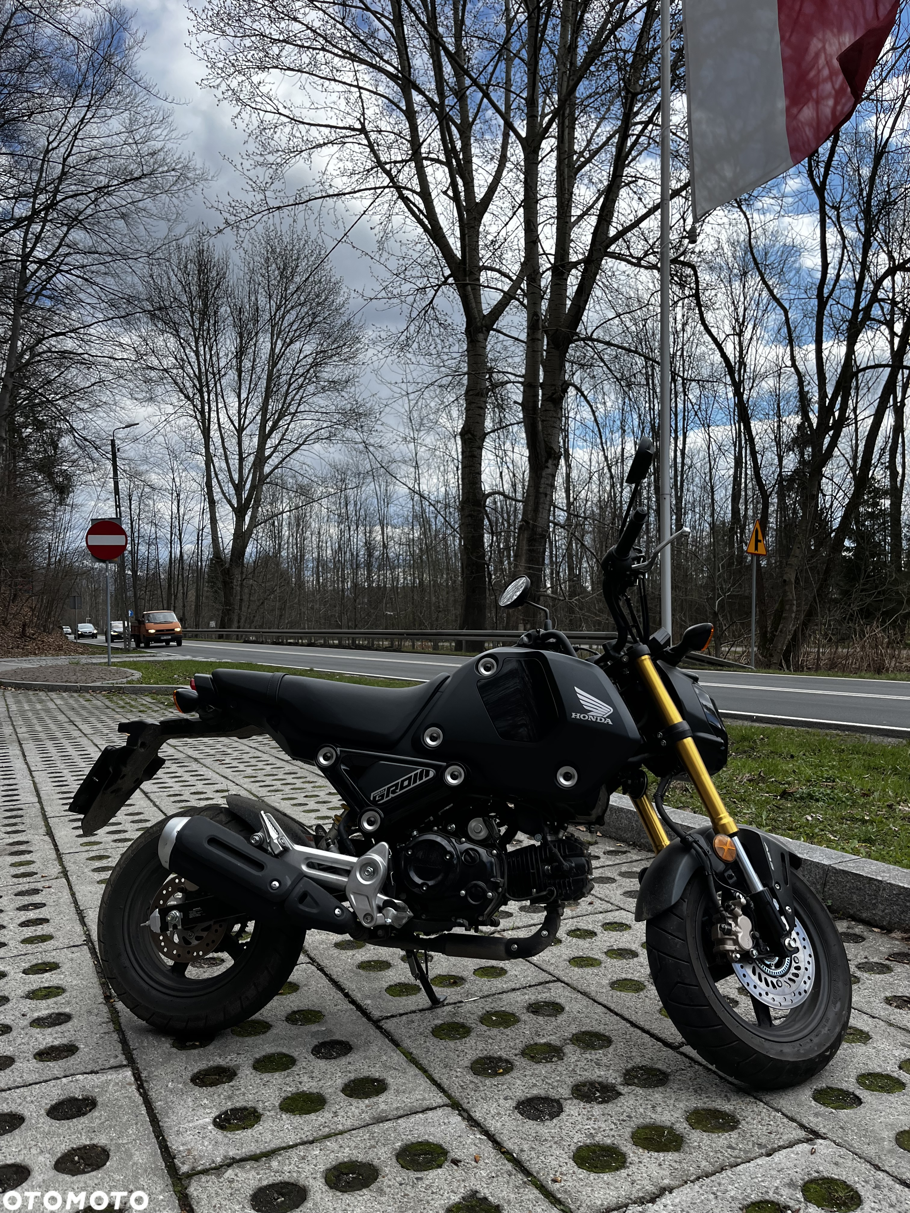 Honda MSX 125 - 6
