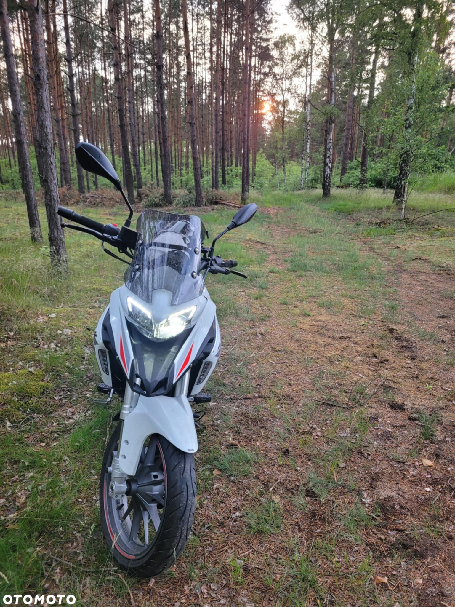 Benelli TRK 251 - 3