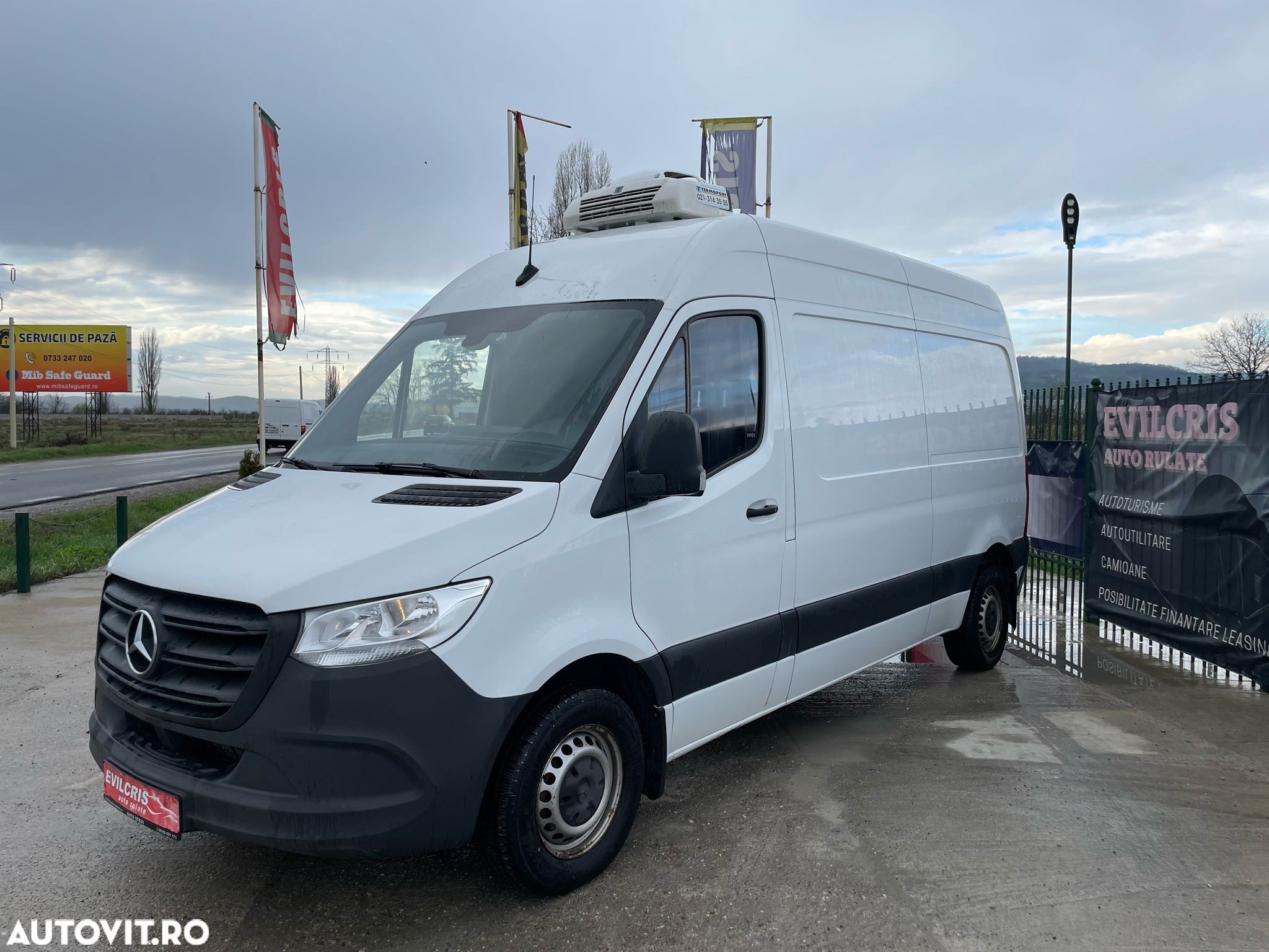 Mercedes-Benz Sprinter FRIGORIFIC THERMO KING - 29