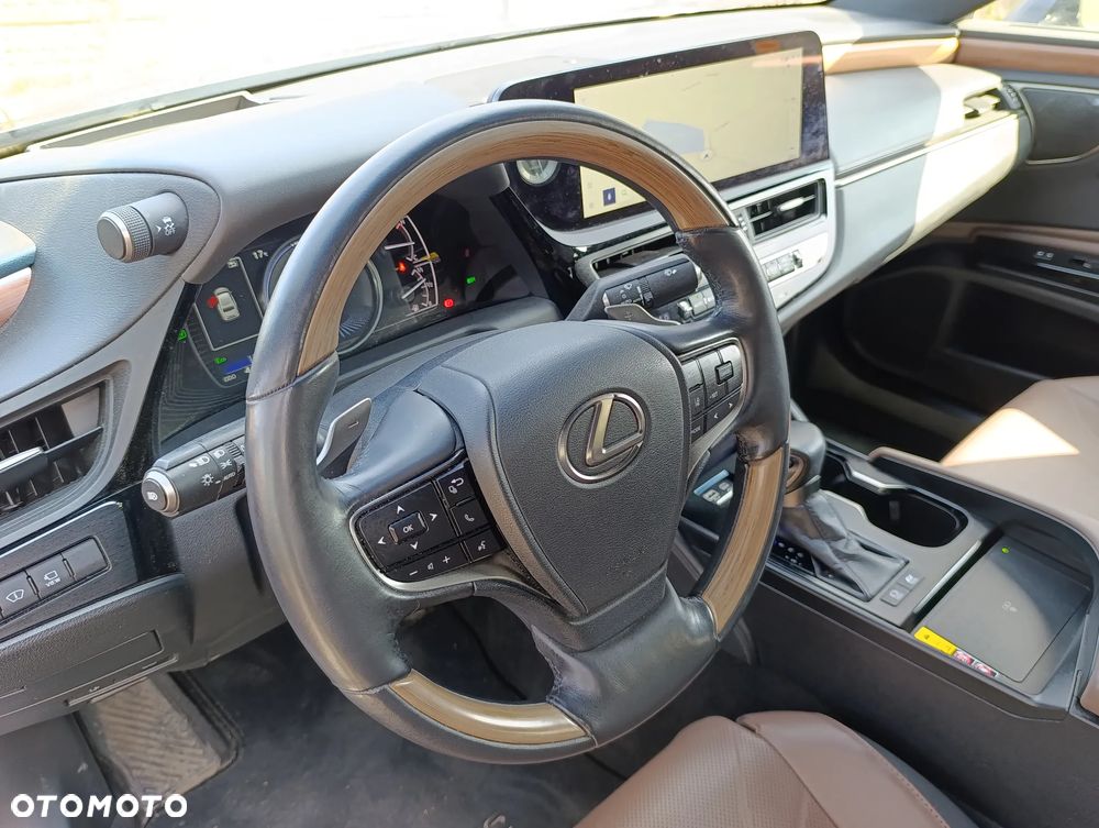 Lexus ES 300h Omotenashi - 23